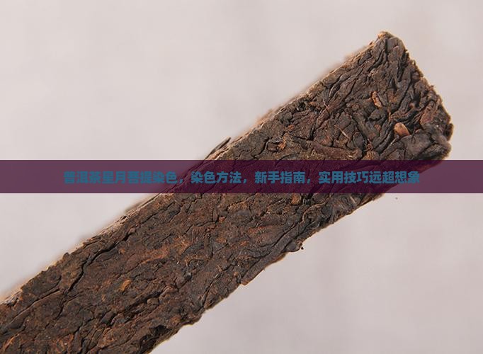 普洱茶星月菩提染色