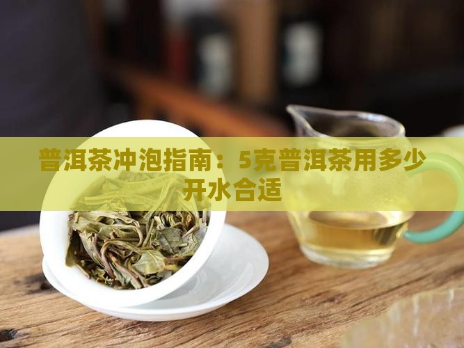 5克普洱茶倒多少开水