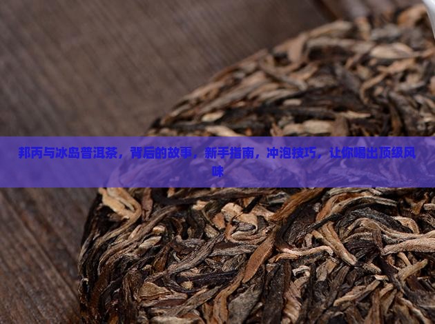 邦丙与冰岛普洱茶