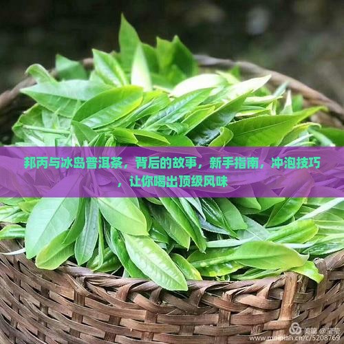 邦丙与冰岛普洱茶