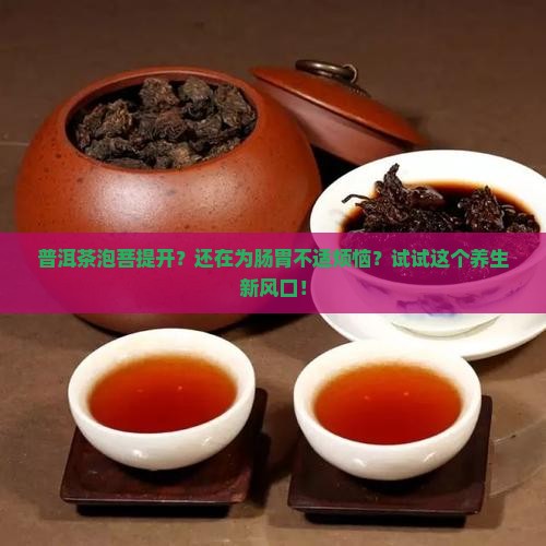 普洱茶泡菩提开