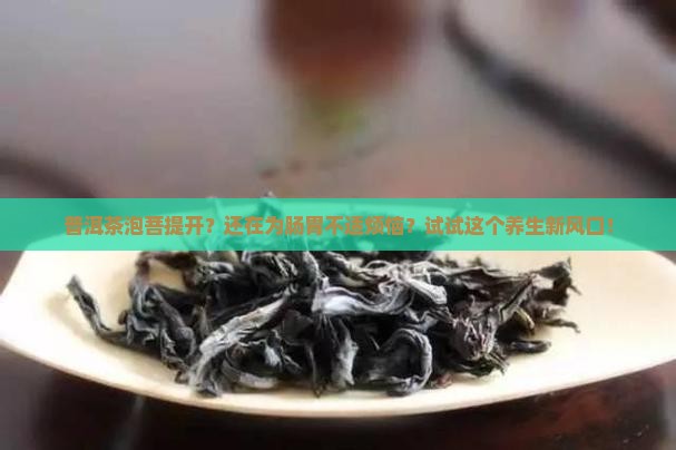 普洱茶泡菩提开