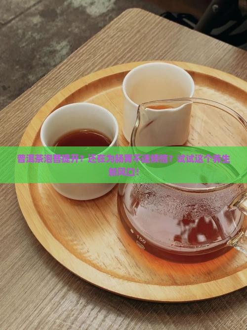 普洱茶泡菩提开