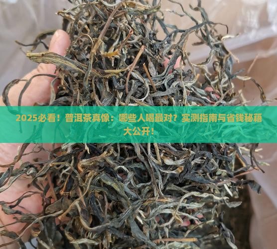 一般什么人适合喝普洱茶