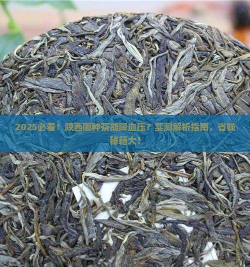 陕西什么茶降血压