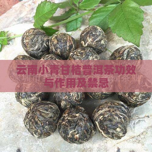 云南小青甘桔普洱茶