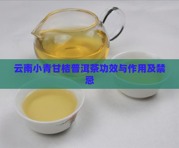 云南小青甘桔普洱茶