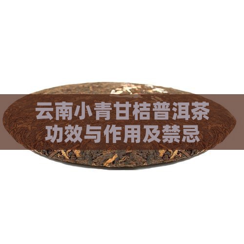 云南小青甘桔普洱茶