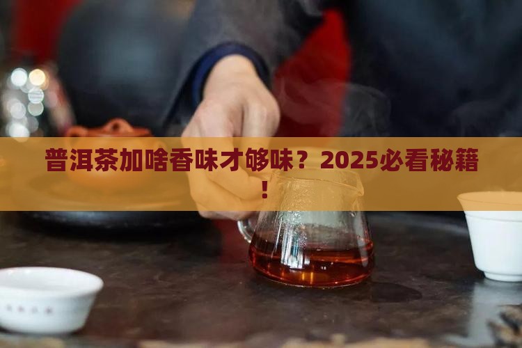 普洱茶加什么香味浓厚好