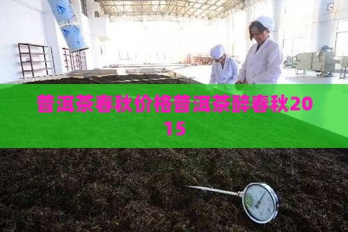 普洱茶醉春秋2015