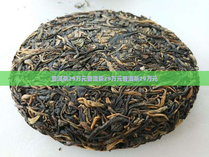 普洱茶29万元