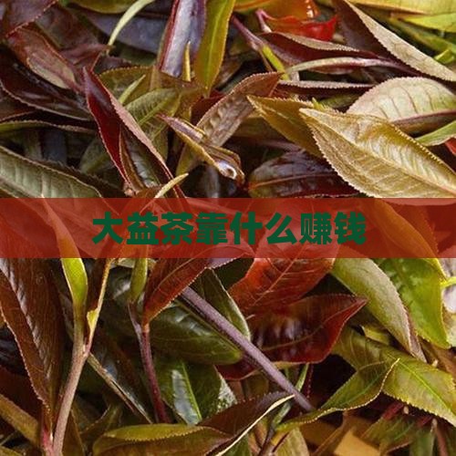 大益茶靠什么赚钱