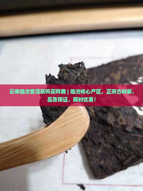 云南临沧普洱茶购买购商