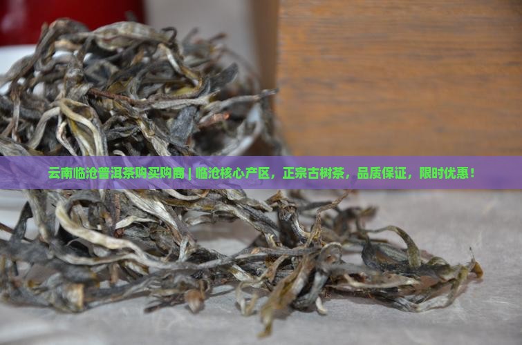 云南临沧普洱茶购买购商