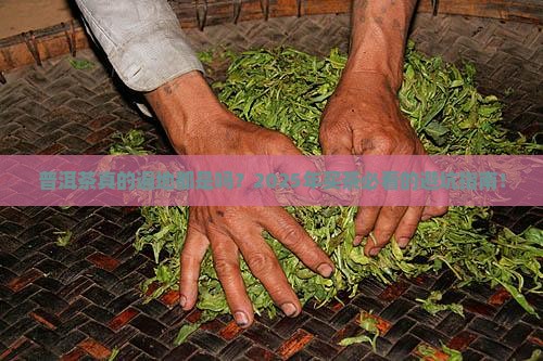 普洱茶大量存在吗