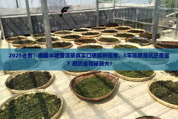 2012年南糯半坡普洱茶