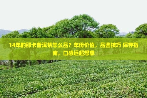 14年的那卡普洱茶