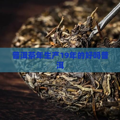 普洱茶19年生产的好吗