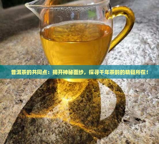 普洱茶的共同点