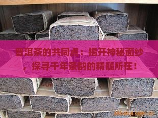 普洱茶的共同点