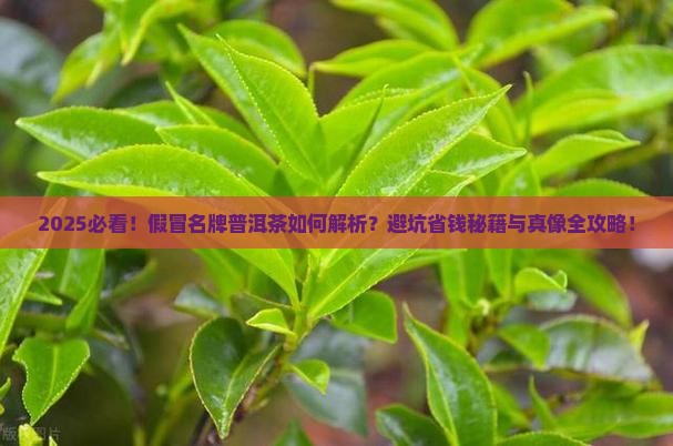 假冒名牌普洱茶