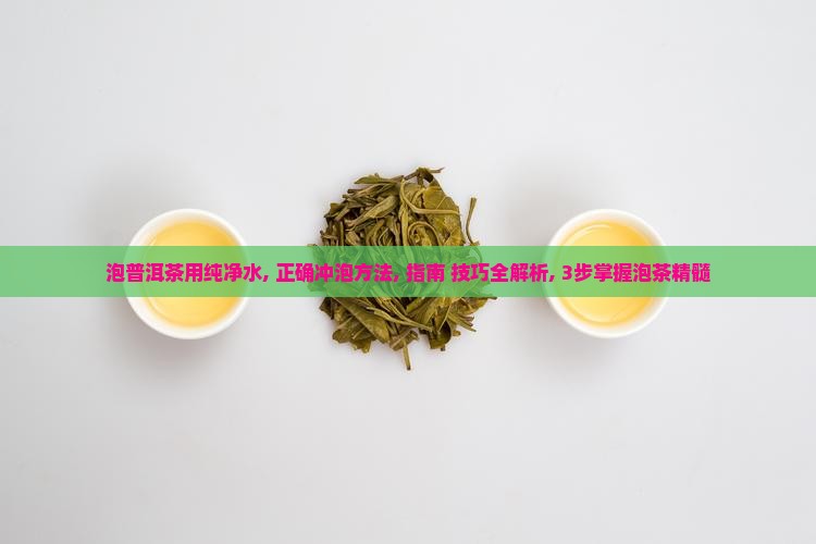 泡普洱茶用纯净水