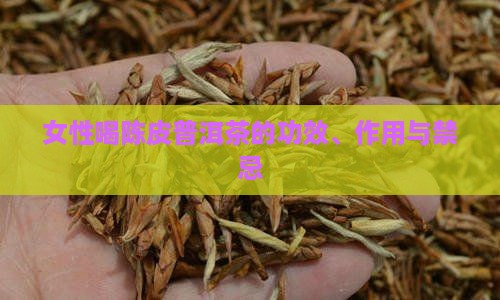 女性喝陈皮普洱茶的功效
