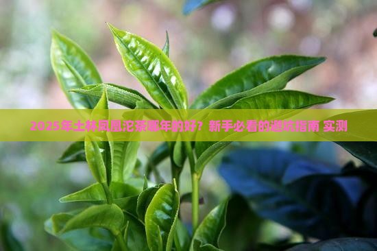 土林凤凰沱茶哪年的好