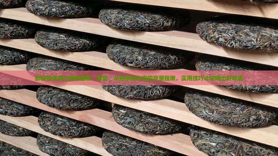 影响普洱茶口感的因素