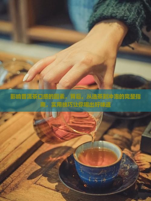 影响普洱茶口感的因素