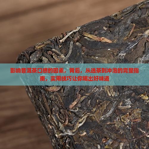 影响普洱茶口感的因素