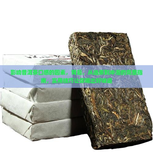 影响普洱茶口感的因素