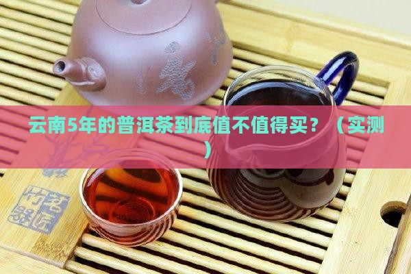 云南5年的普洱茶