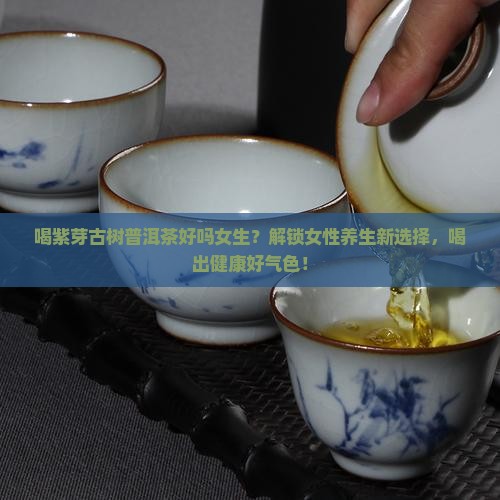 喝紫芽古树普洱茶好吗女生