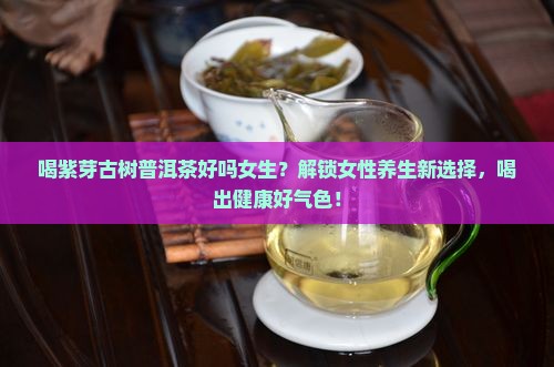 喝紫芽古树普洱茶好吗女生