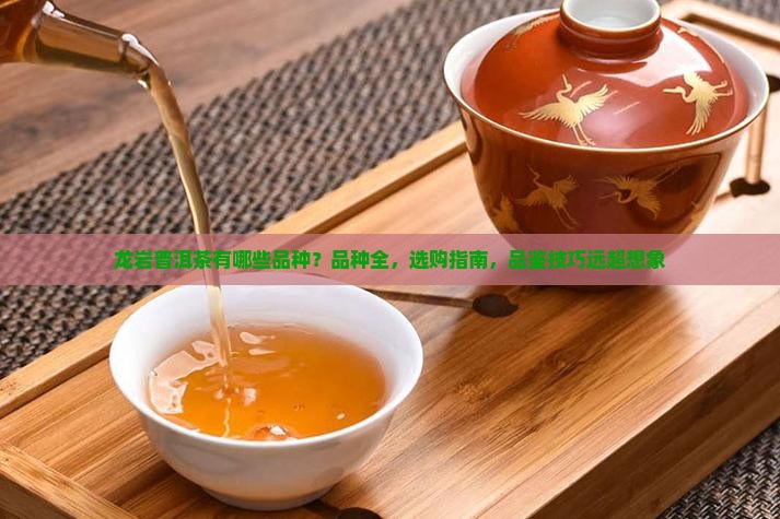 龙岩普洱茶有哪些品种