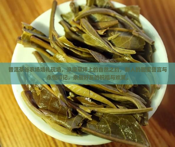 普洱茶谷农场婚礼现场