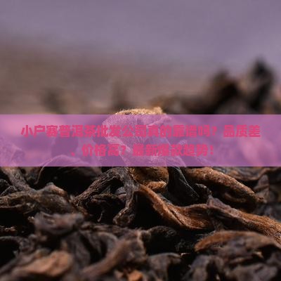 小户赛普洱茶批发公司