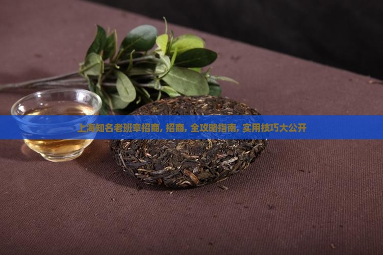 上海知名老班章招商