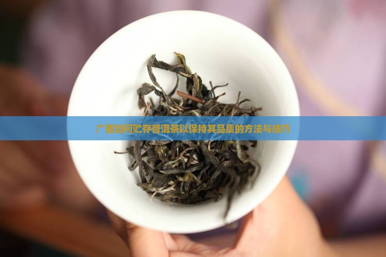 广西如何贮存普洱茶