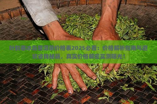 叶韵春冰岛普洱茶价格表