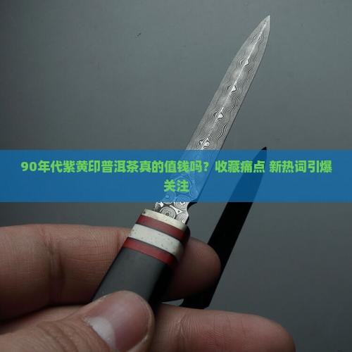 90年代紫黄印普洱茶