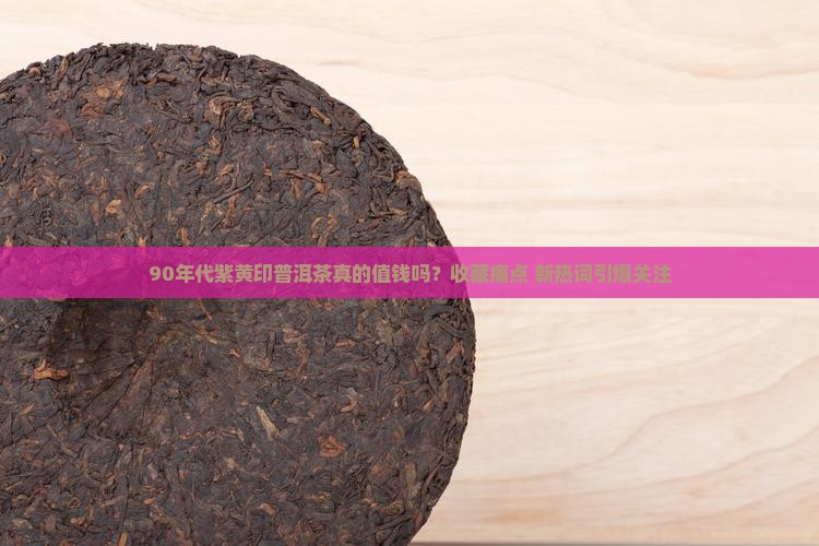 90年代紫黄印普洱茶