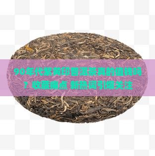 90年代紫黄印普洱茶