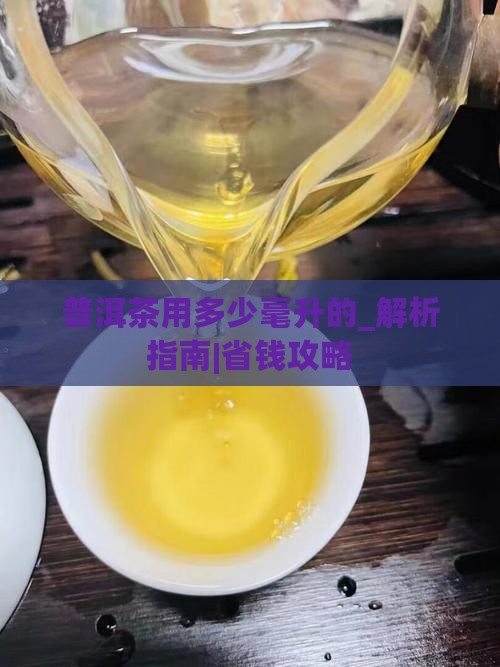 普洱茶用多少毫升的