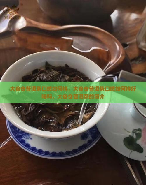 大谷仓普洱茶口感如何样