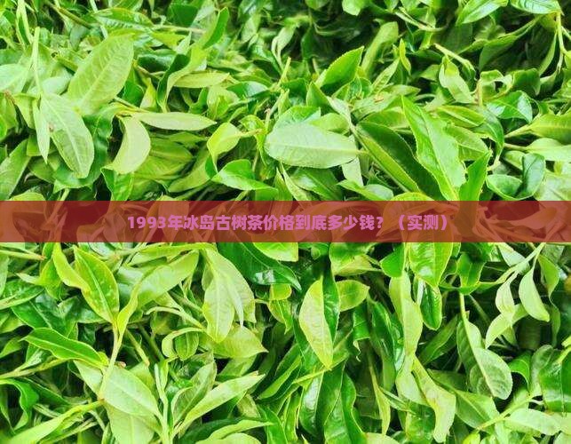 1993年冰岛古树茶价格