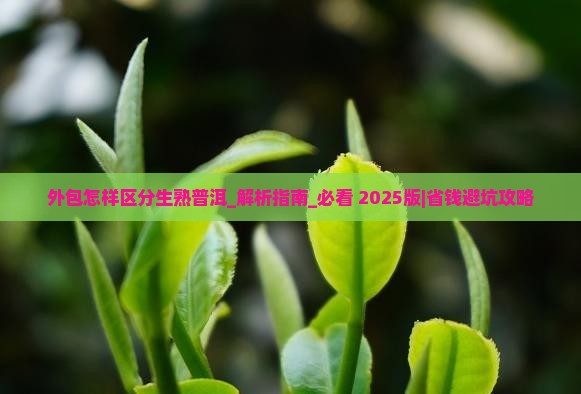 外包怎样区分生熟普洱