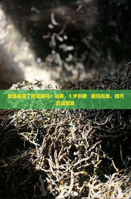 普洱茶臭了还能喝吗 普洱茶臭了还能喝吗