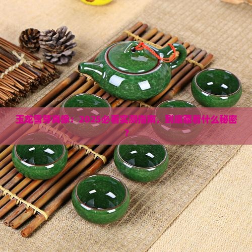 玉龙雪芽是什么茶 玉龙雪芽是什么茶